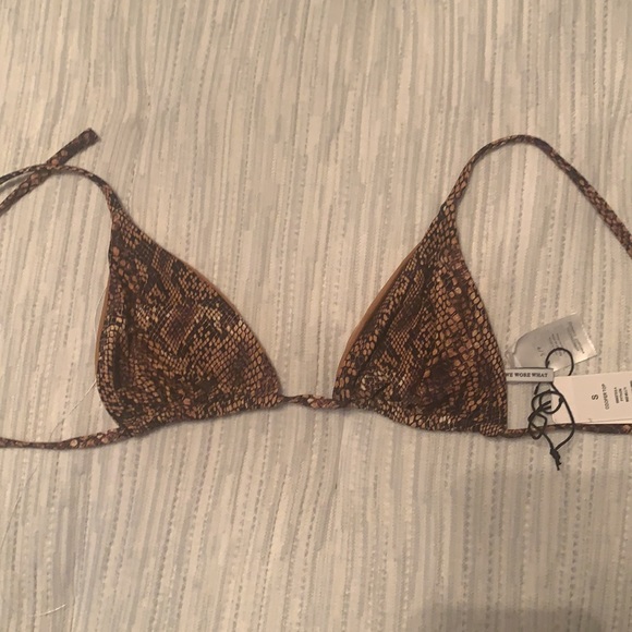 Copper top python - Picture 2 of 3